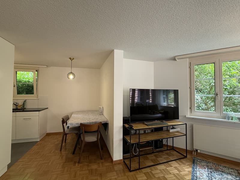 Möblierte 3.5-Zimmer-Wohnung (73 m²) in zentraler Lage in Horgen (befristet) (4)