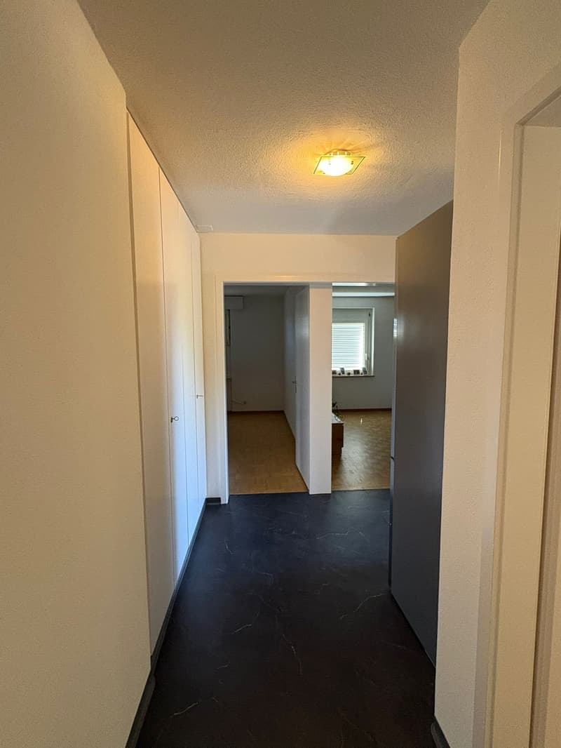 3 Zimmer-Wohnung, 9403 Goldach (6)