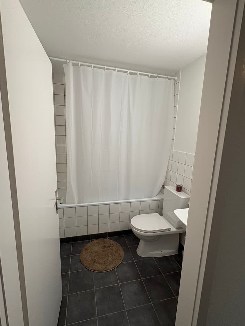 3 Zimmer-Wohnung, 9403 Goldach (9)