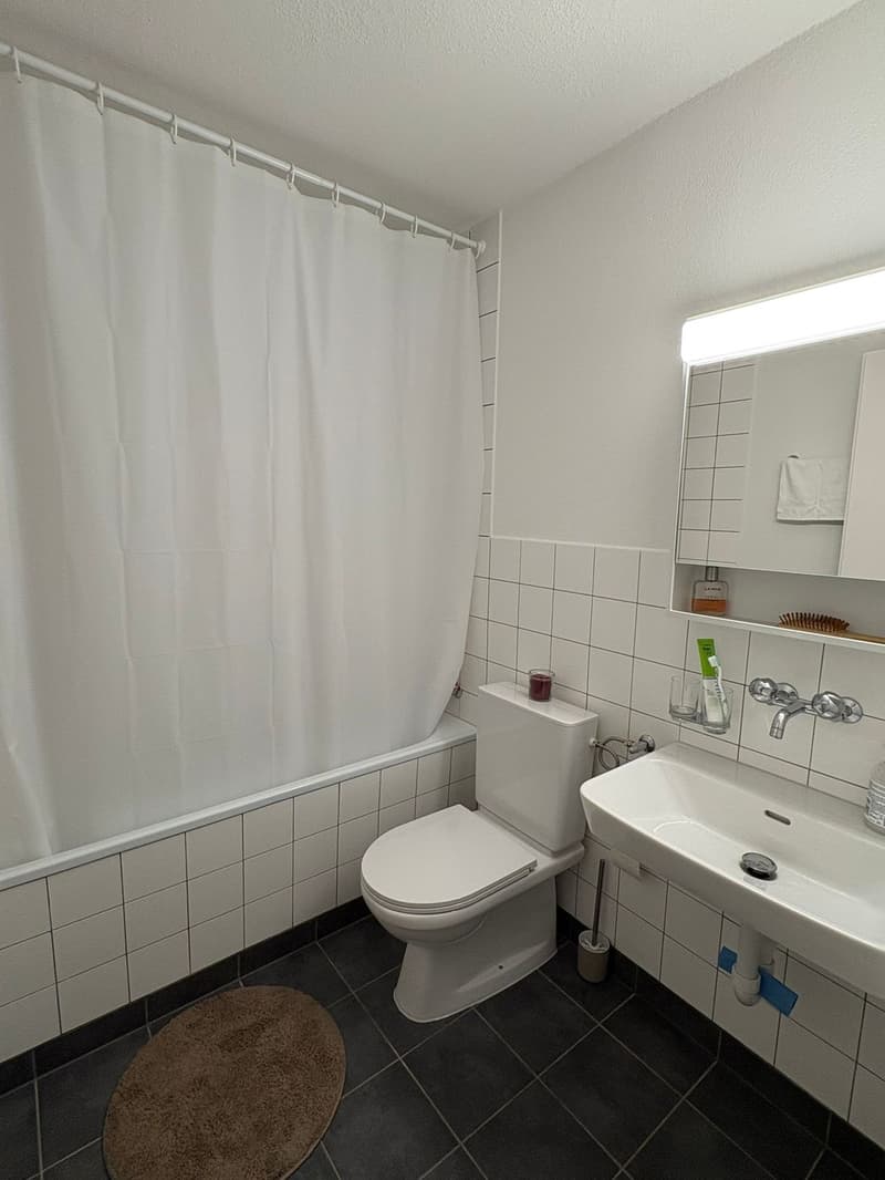 3 Zimmer-Wohnung, 9403 Goldach (10)
