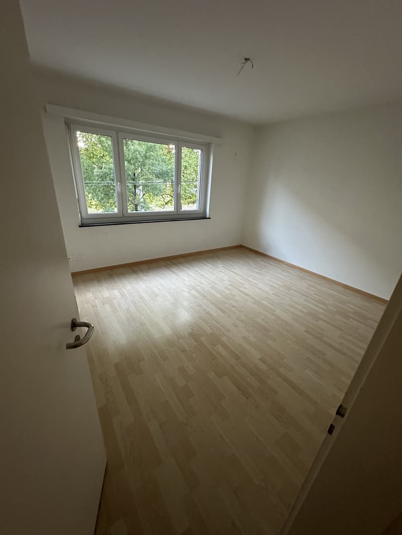 Room in a shared flat, 8008 zurich (4)
