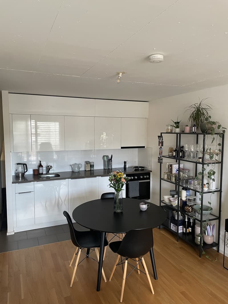 Appartement moderne et lumineux de 2,5 pièces, idéalement situé (1)