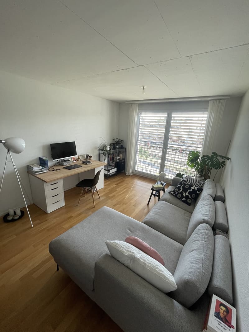 Appartement moderne et lumineux de 2,5 pièces, idéalement situé (2)