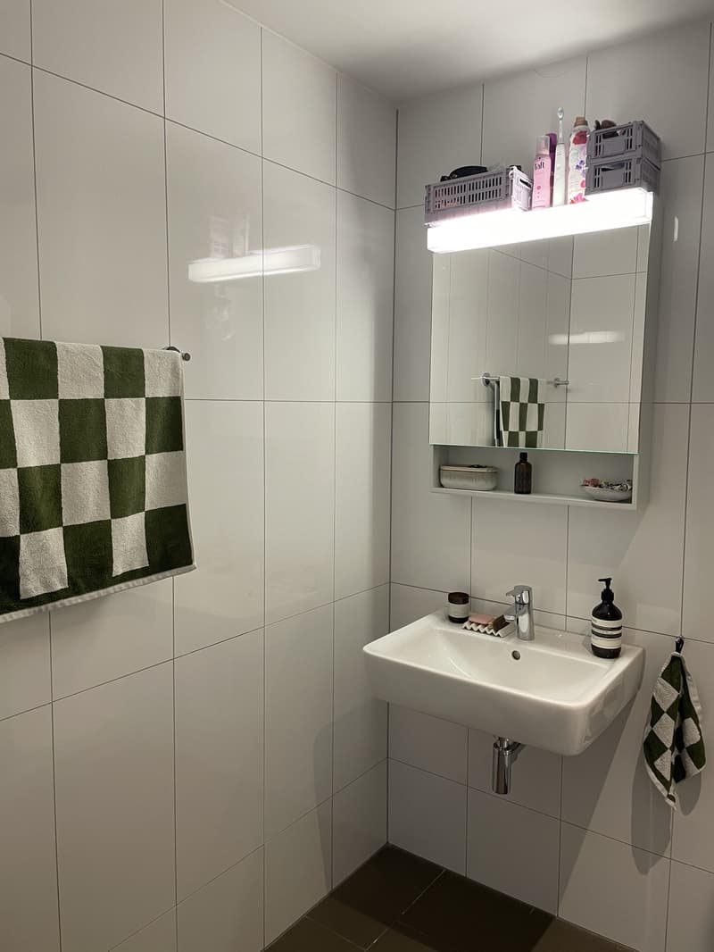 Appartement moderne et lumineux de 2,5 pièces, idéalement situé (5)