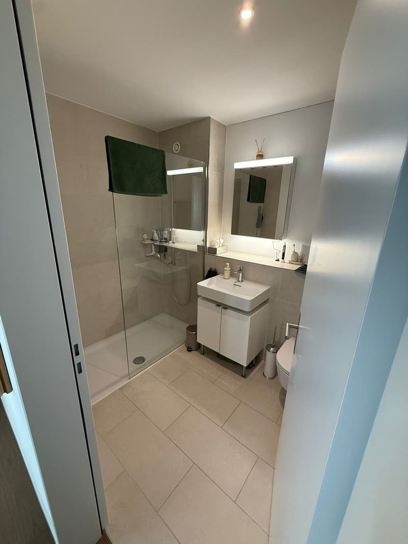 Moderne 3.5-Zi-Wohnung mit 2 Bädern, Reduit und Top-Lage (3)