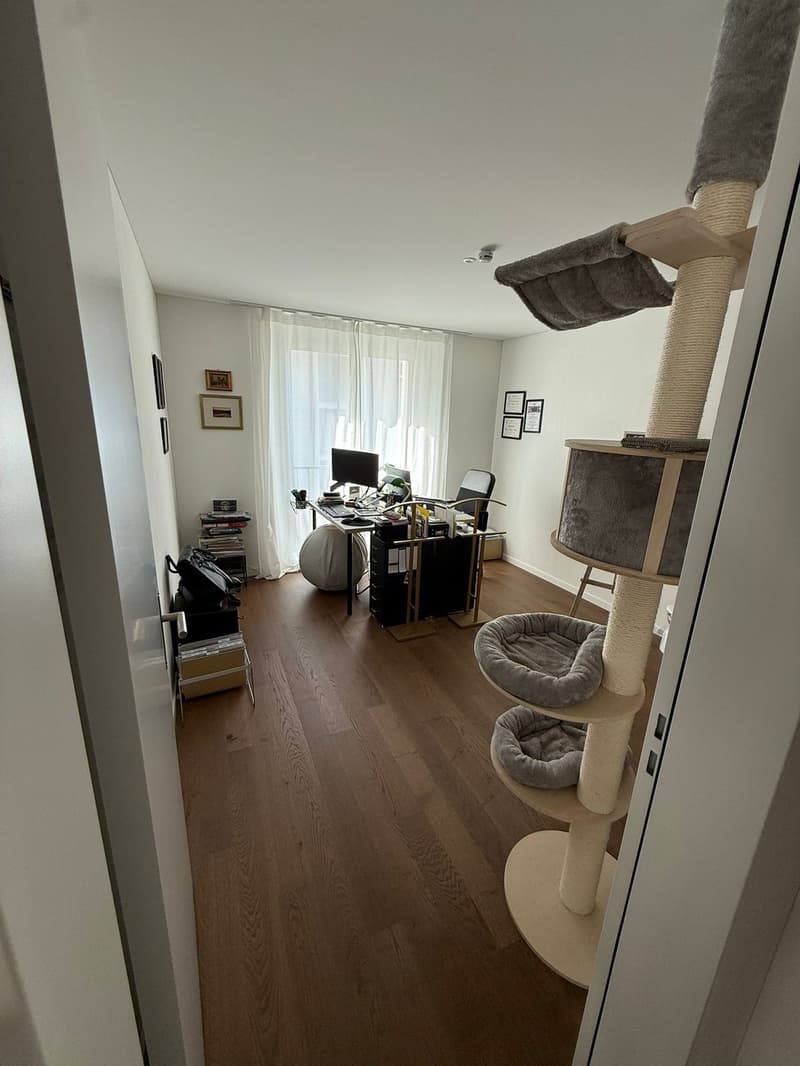 Moderne 3.5-Zi-Wohnung mit 2 Bädern, Reduit und Top-Lage (6)
