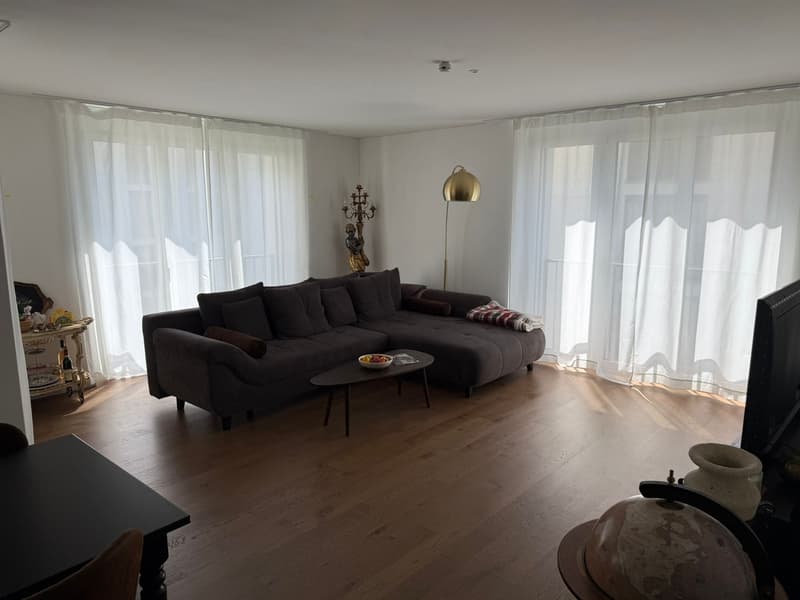 Moderne 3.5-Zi-Wohnung mit 2 Bädern, Reduit und Top-Lage (1)