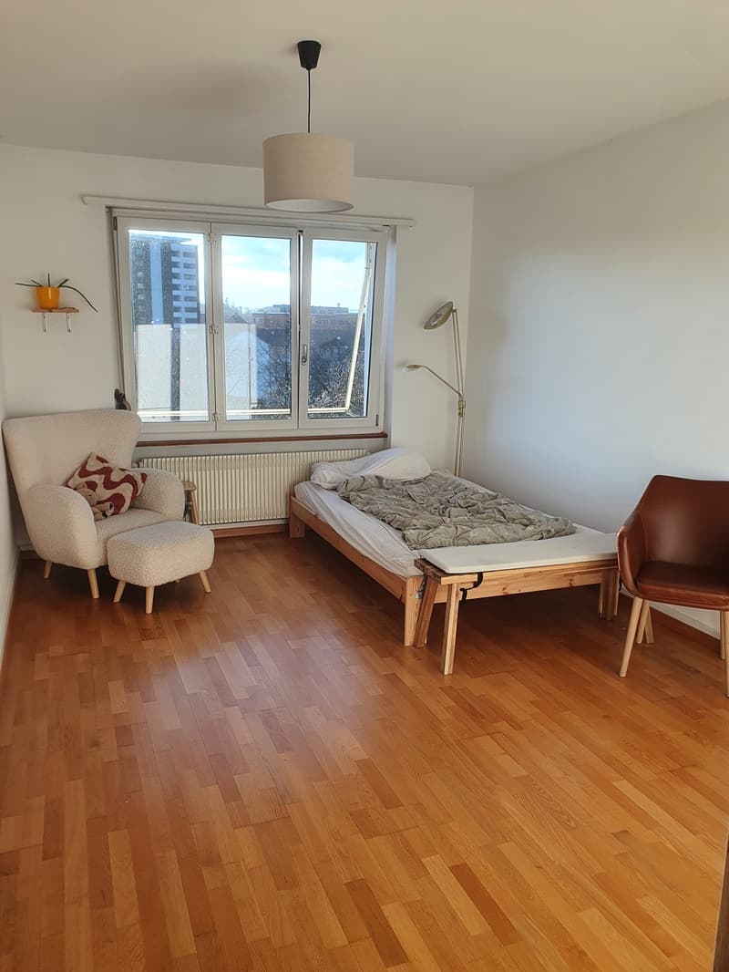 3 Zimmer Wohnung im Breitenrain (5)