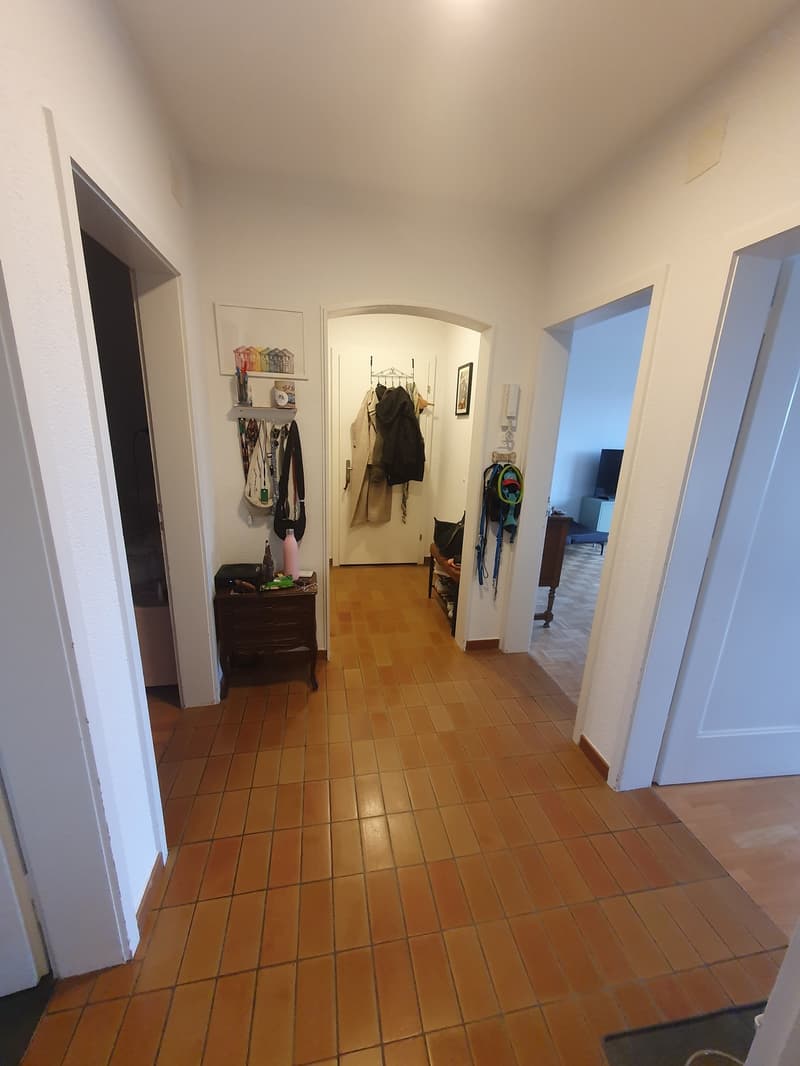 3 Zimmer Wohnung im Breitenrain (7)