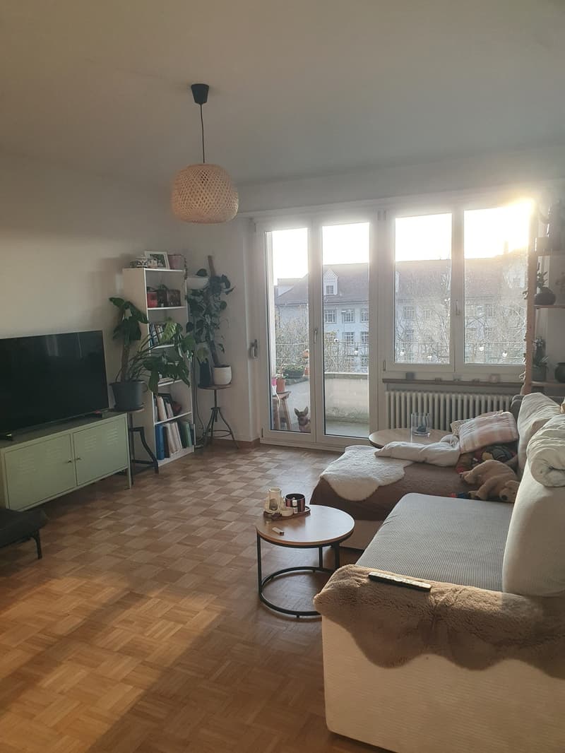 3 Zimmer Wohnung im Breitenrain (1)
