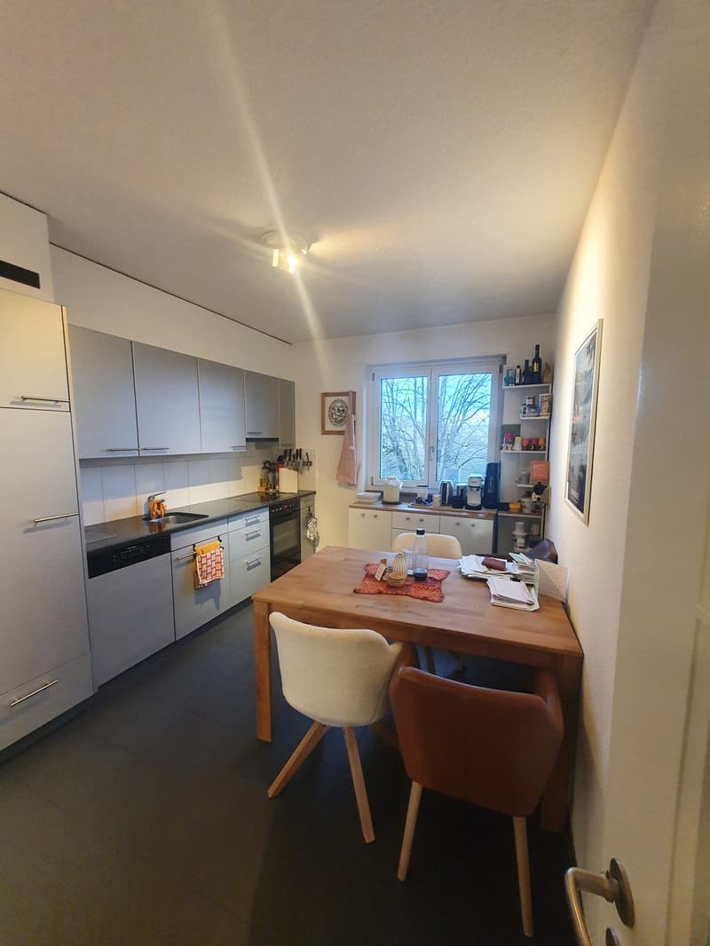 3 Zimmer Wohnung im Breitenrain (3)