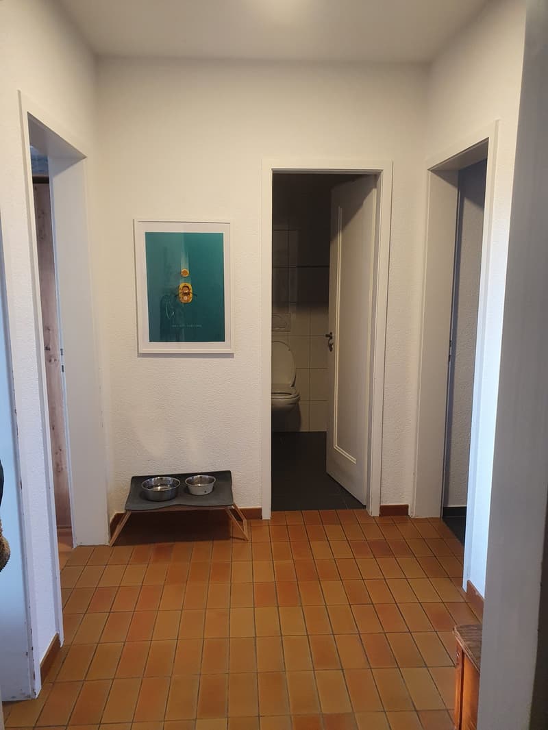 3 Zimmer Wohnung im Breitenrain (6)