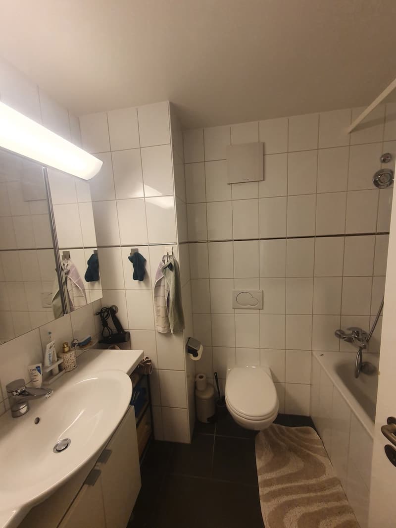 3 Zimmer Wohnung im Breitenrain (4)