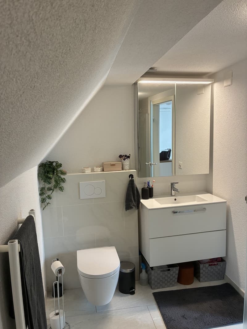 Charmante 1.5 Zimmerwohnung / Studio Nachmieter*in gesucht. Bezugsmöglichkeit ab 01. Oktober oder nach Vereinbarung (auch früher / später möglich). (6)