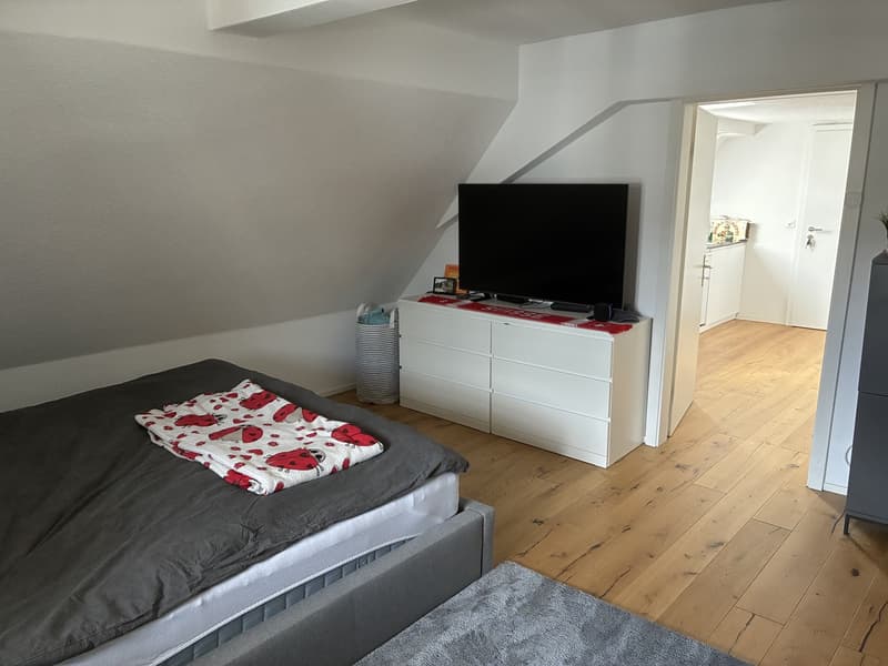 Charmante 1.5 Zimmerwohnung / Studio Nachmieter*in gesucht. Bezugsmöglichkeit ab 01. Oktober oder nach Vereinbarung (auch früher / später möglich). (4)