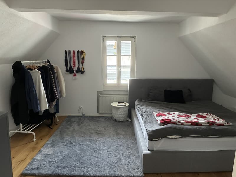 Charmante 1.5 Zimmerwohnung / Studio Nachmieter*in gesucht. Bezugsmöglichkeit ab 01. Oktober oder nach Vereinbarung (auch früher / später möglich). (3)