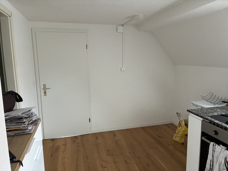Charmante 1.5 Zimmerwohnung / Studio Nachmieter*in gesucht. Bezugsmöglichkeit ab 01. Oktober oder nach Vereinbarung (auch früher / später möglich). (7)