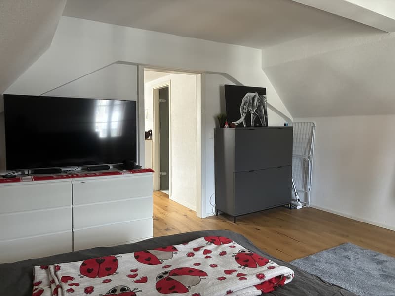 Charmante 1.5 Zimmerwohnung / Studio Nachmieter*in gesucht. Bezugsmöglichkeit ab 01. Oktober oder nach Vereinbarung (auch früher / später möglich). (2)