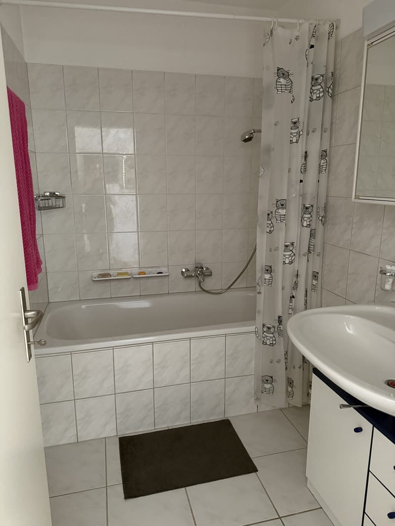 Grosszügige und helle 3.5-Zimmer-Wohnung mit grossem Balkon in ruhiger Lage in Zufikon (6)