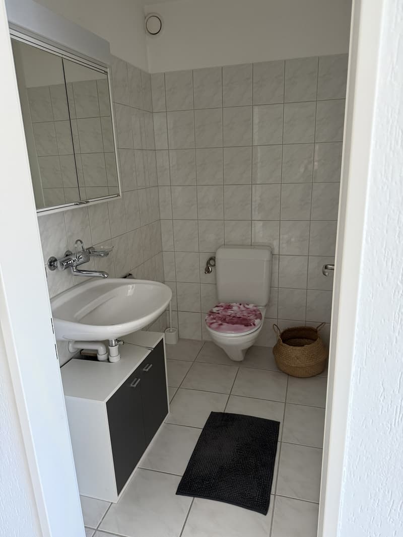 Grosszügige und helle 3.5-Zimmer-Wohnung mit grossem Balkon in ruhiger Lage in Zufikon (5)