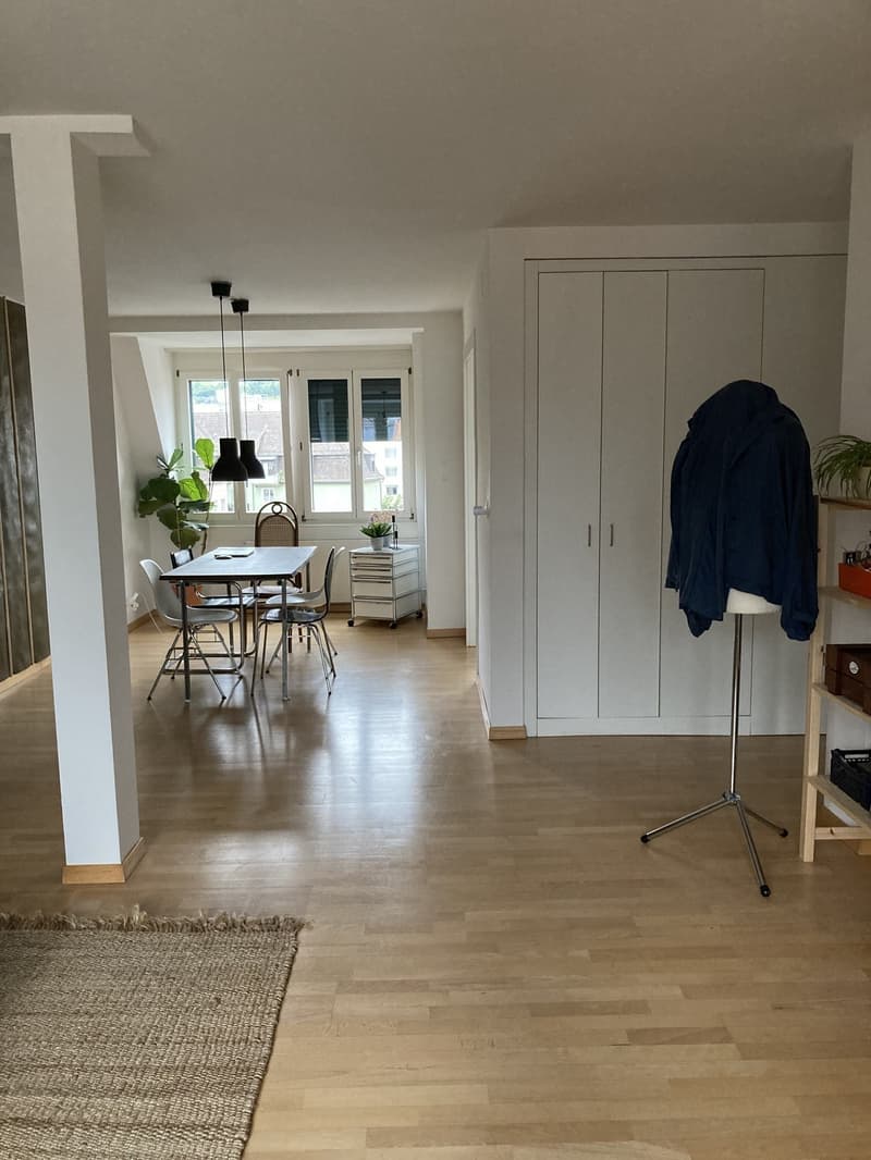 Helle Altbauwohnung mit Dachterrasse am Fusse des Üetlibergs (Untermiete, 18 Mte.) (3)