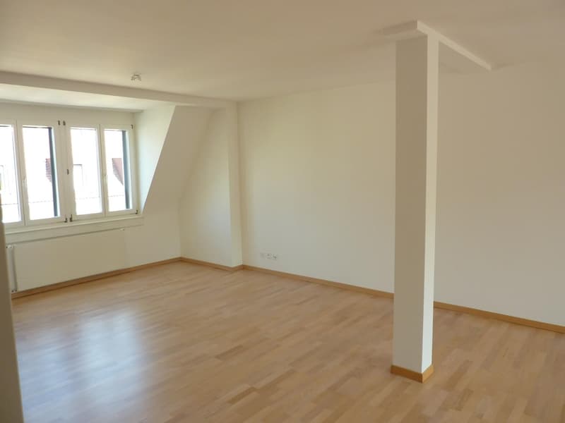 Helle Altbauwohnung mit Dachterrasse am Fusse des Üetlibergs (Untermiete, 18 Mte.) (5)