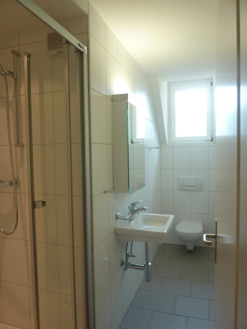 Helle Altbauwohnung mit Dachterrasse am Fusse des Üetlibergs (Untermiete, 18 Mte.) (9)