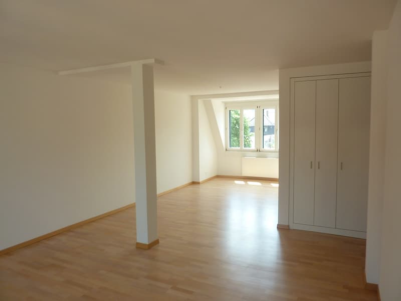 Helle Altbauwohnung mit Dachterrasse am Fusse des Üetlibergs (Untermiete, 18 Mte.) (7)