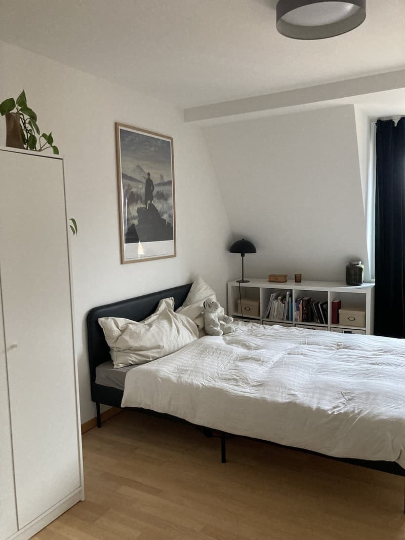 Helle Altbauwohnung mit Dachterrasse am Fusse des Üetlibergs (Untermiete, 18 Mte.) (4)
