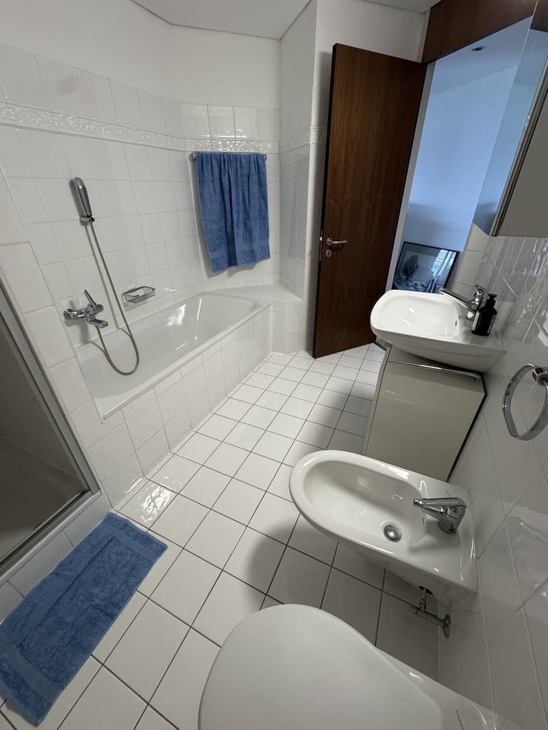 Helle, sonnige 2½-Zimmer-Wohnung mit traumhaftem Seeblick (4)