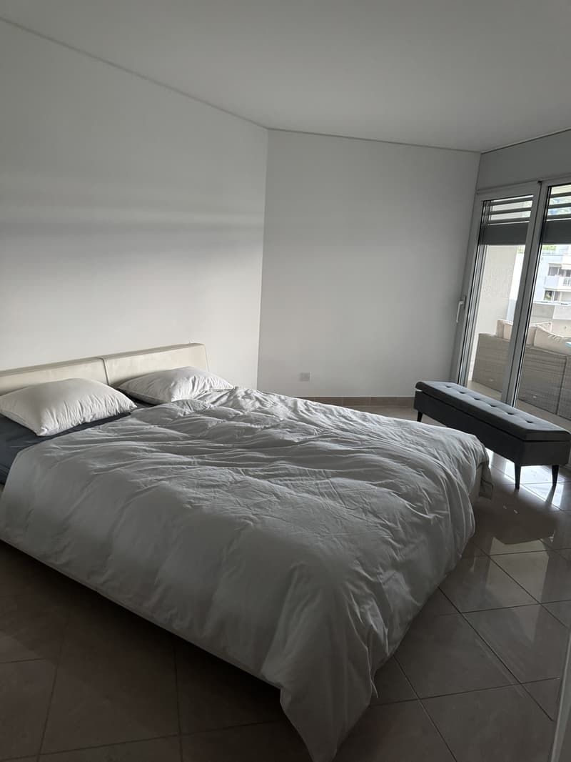 Helle, sonnige 2½-Zimmer-Wohnung mit traumhaftem Seeblick (3)