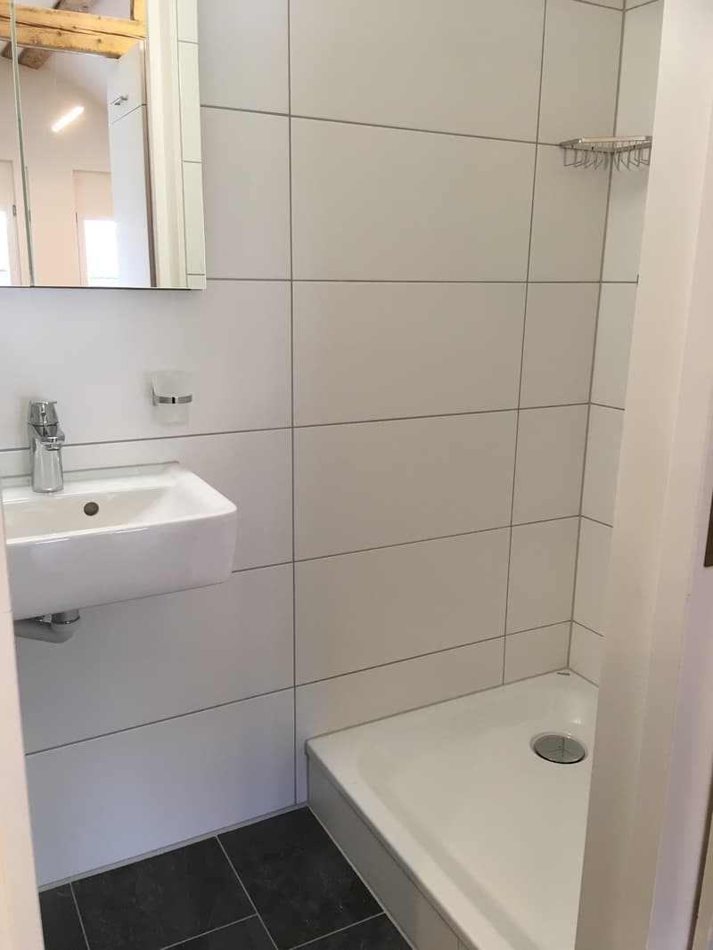 Charmante Dachwohnung mitten im Dorf Wald ZH (7)
