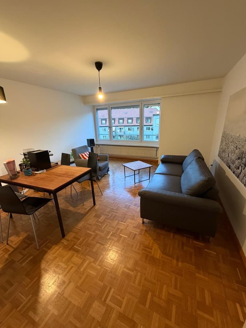 2-bedroom flat in Wollishofen (6)