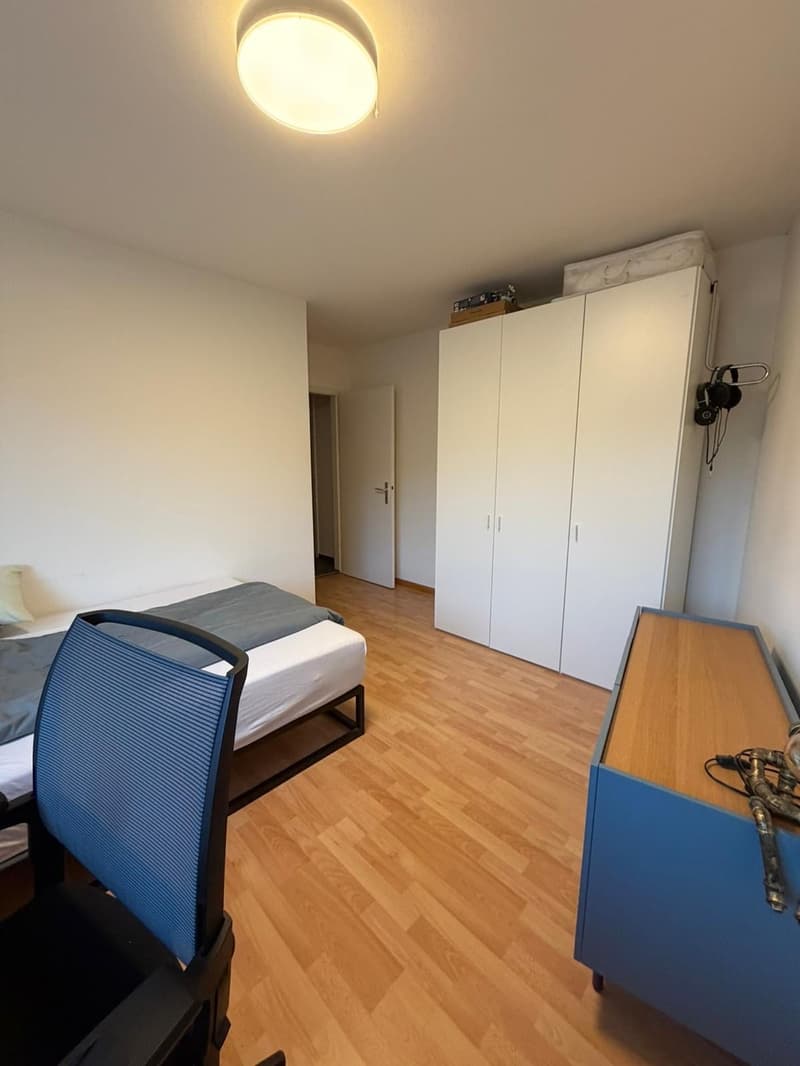 2-bedroom flat in Wollishofen (4)