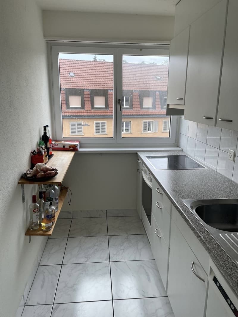 2-bedroom flat in Wollishofen (3)