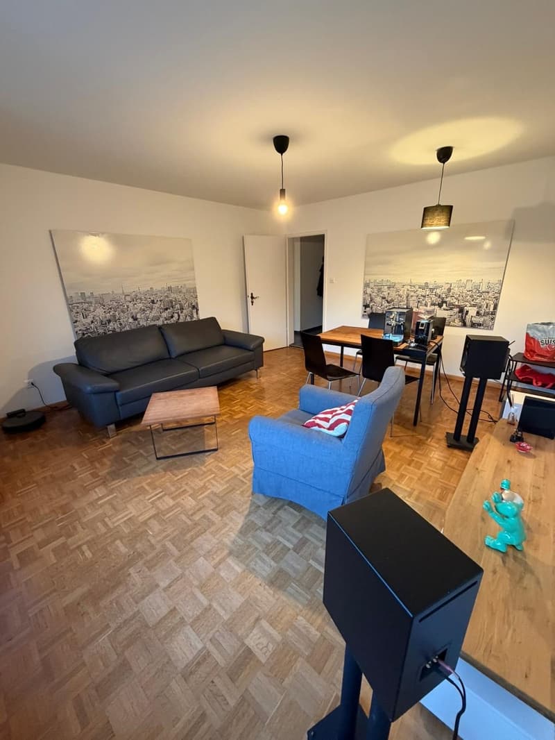 2-bedroom flat in Wollishofen (7)