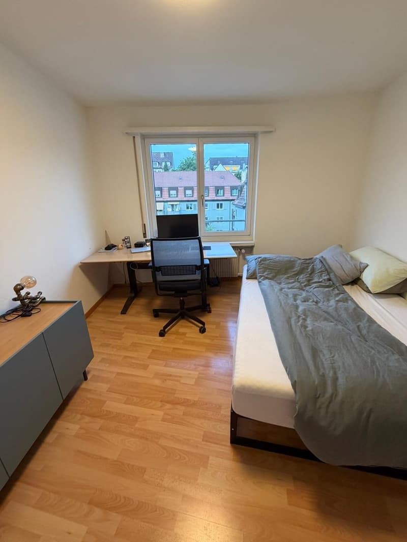 2-bedroom flat in Wollishofen (2)