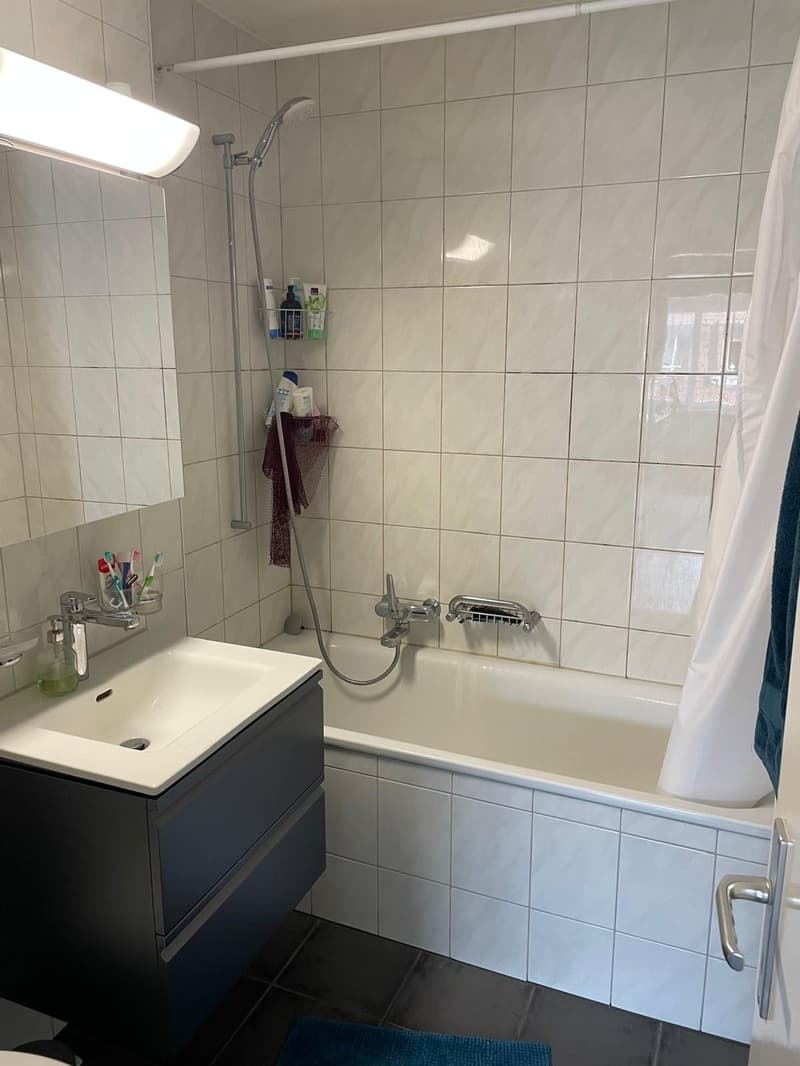 2-bedroom flat in Wollishofen (5)