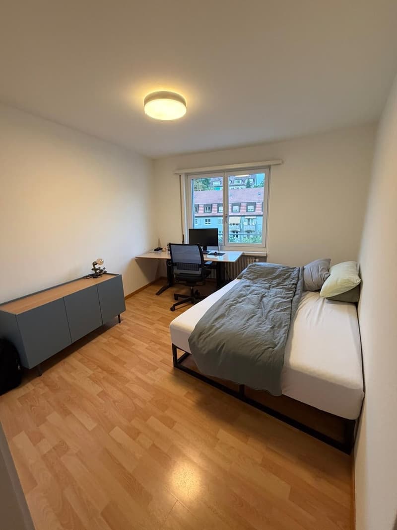2-bedroom flat in Wollishofen (1)