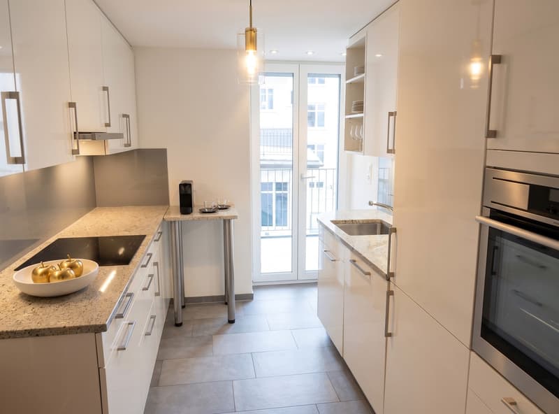 3.5 Apartment Near Helvetiaplatz (5)