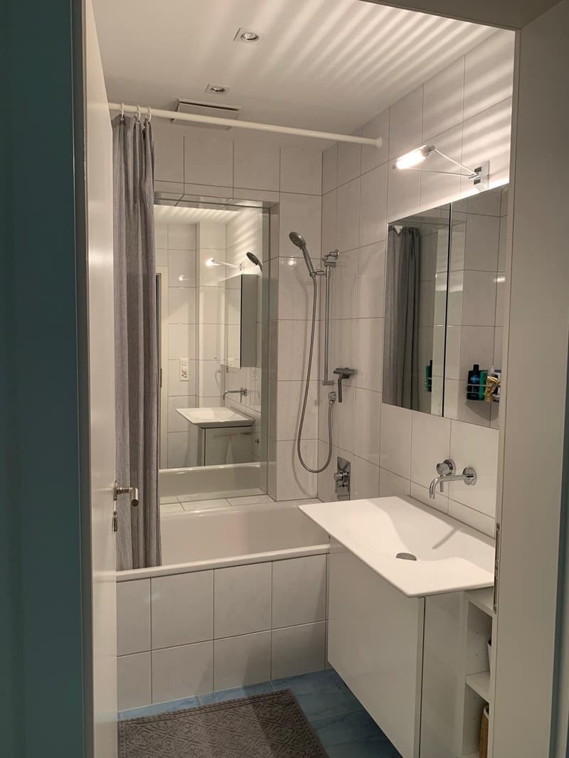 Wunderschön renovierte Wohnung in der Felsenstrasse (7)
