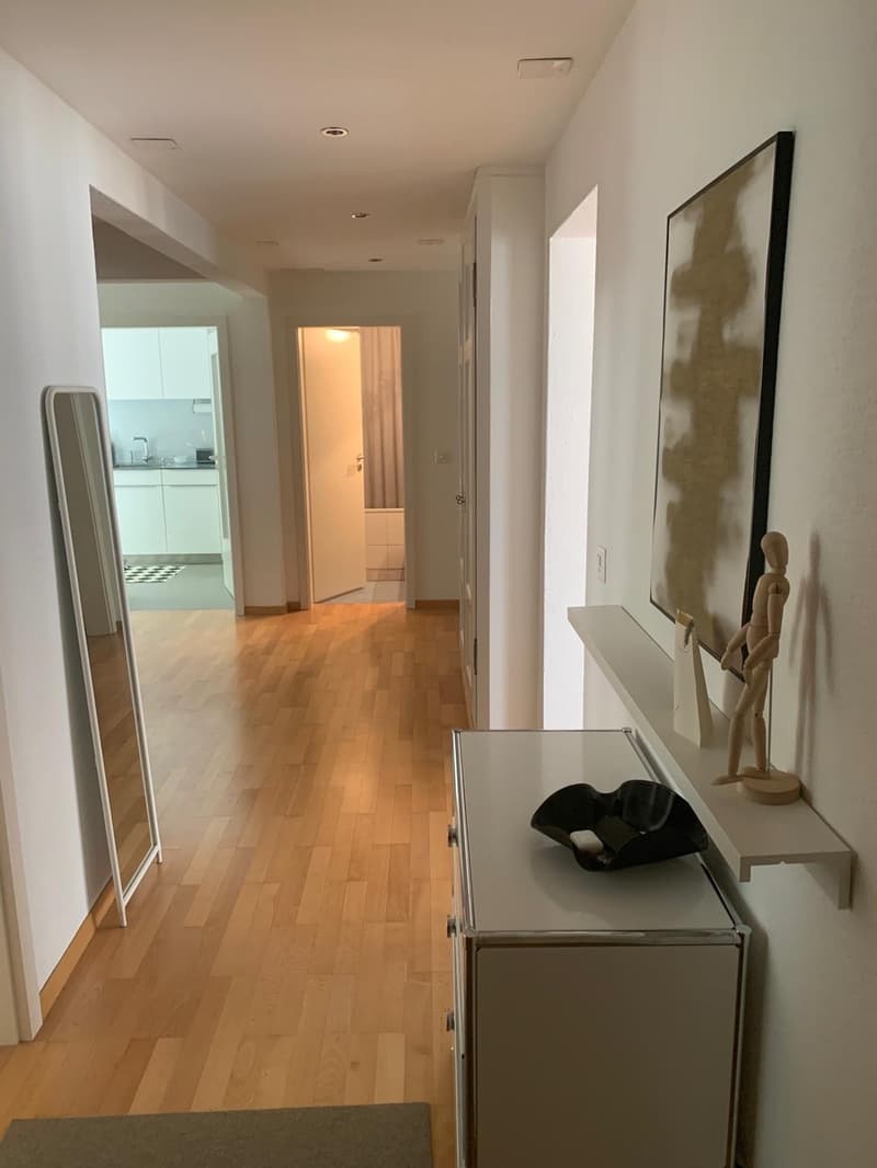 Wunderschön renovierte Wohnung in der Felsenstrasse (9)