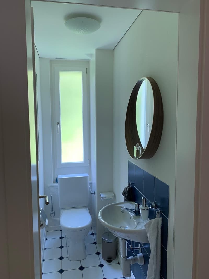 Wunderschön renovierte Wohnung in der Felsenstrasse (8)