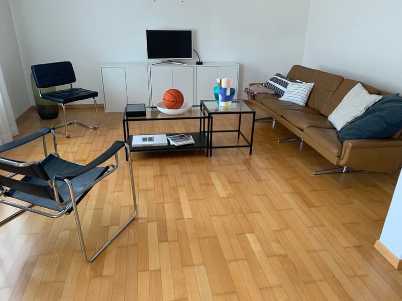 Wunderschön renovierte Wohnung in der Felsenstrasse (3)