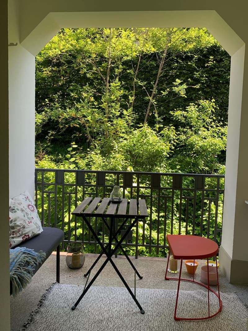 Wunderschön renovierte Wohnung in der Felsenstrasse (10)