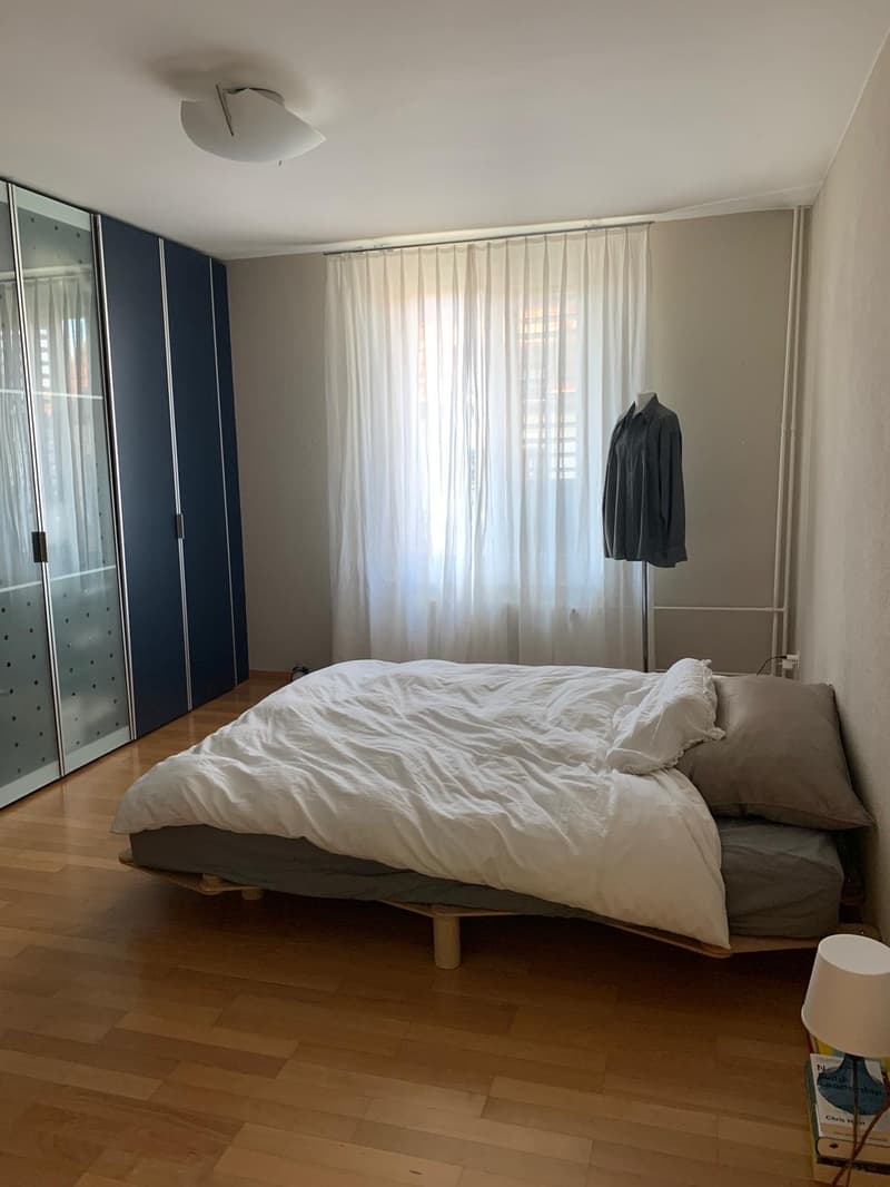 Wunderschön renovierte Wohnung in der Felsenstrasse (5)