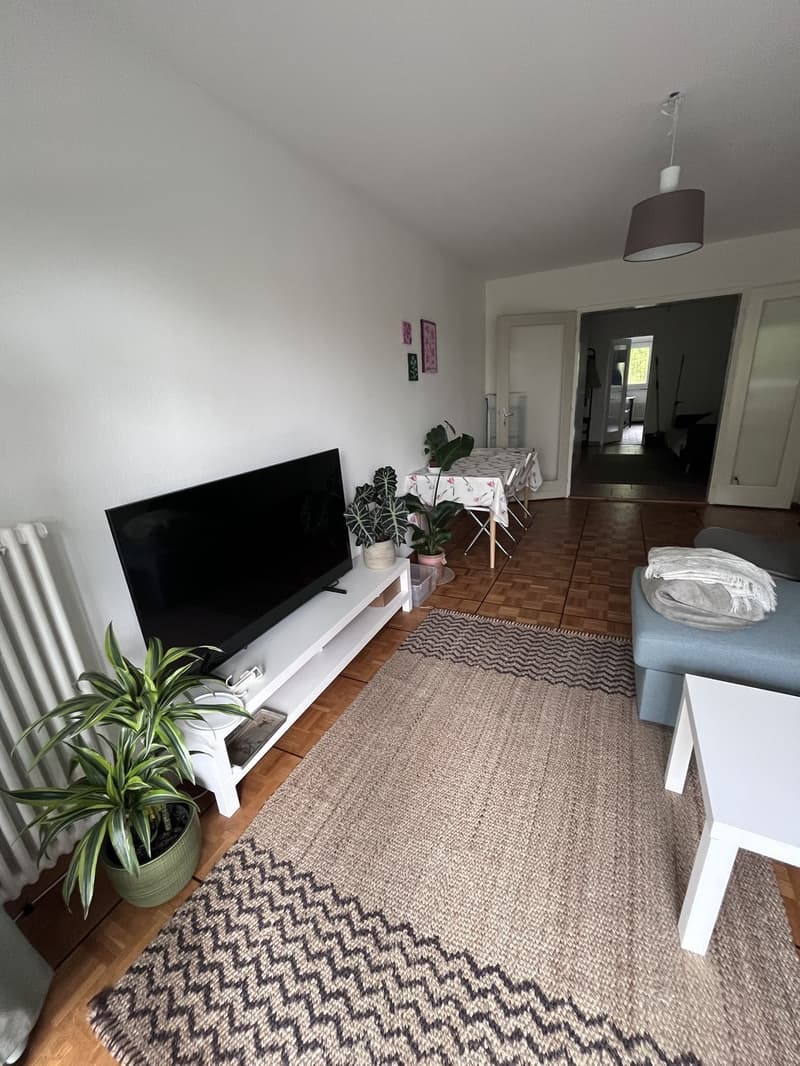 Room in a shared flat in Chavannes (3)