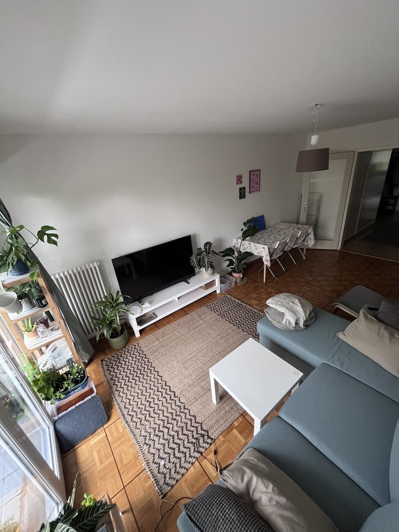 Room in a shared flat in Chavannes (4)