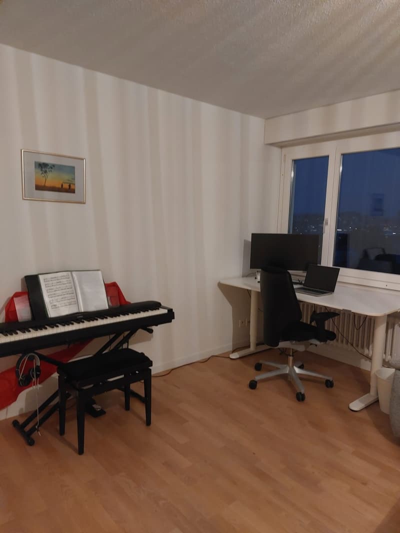 Sublet in Lucerne (+/- Nov to Feb) Apartment with Lake View (6)