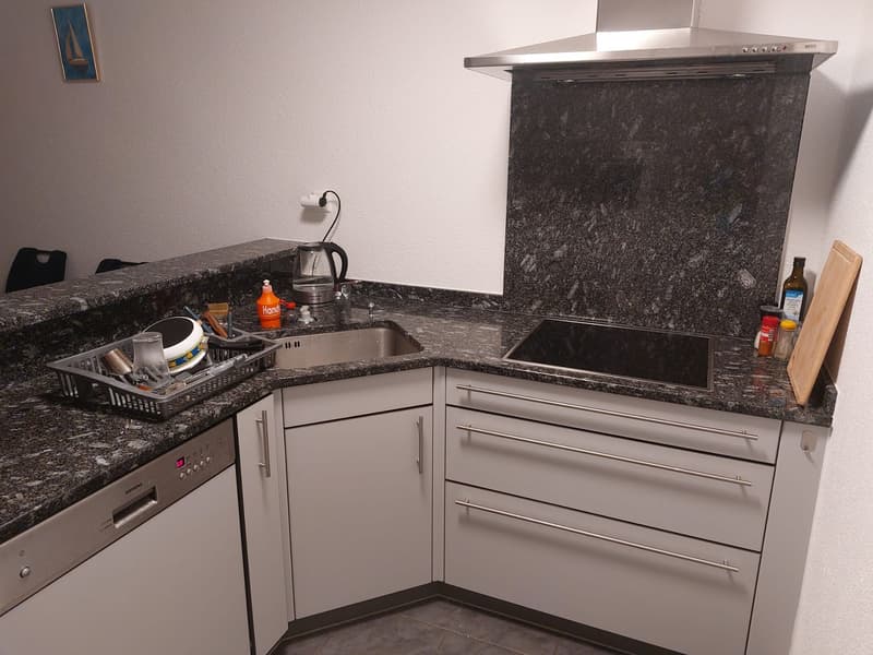Sublet in Lucerne (+/- Nov to Feb) Apartment with Lake View (9)